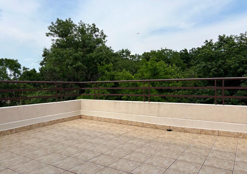 APARTAMENT CU 5 CAMERE IN VILA RENOVATA - PE INTREGUL ETAJ - AVIATORILOR - 2