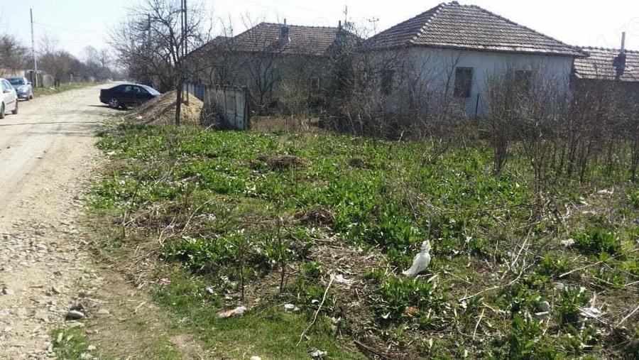 2(doua) teren intravilan in localitatea Giurgi?a, judetul Dolj. - 8