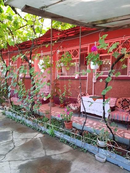 Vand casa an comuna Sicula jud Arad - 6