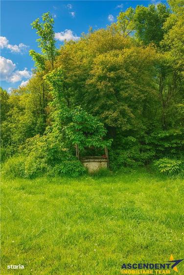 Domeniu verde autentic, +5.000mp, front la DJ, Valcele, Brasov -- Cov - 1