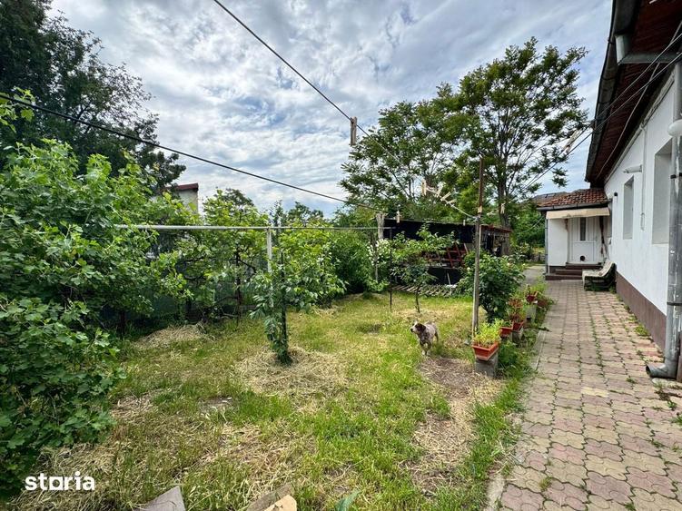 Casa si teren de vanzare 948mp Campia Islaz, Oportunitate de invest - 1