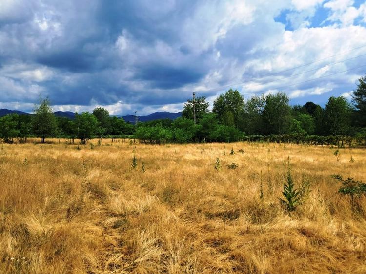 TEREN INTRAVILAN  POLOVRAGI - 2