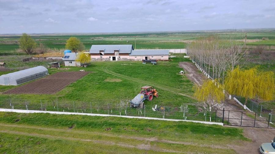 Ferma de vanzare - 7