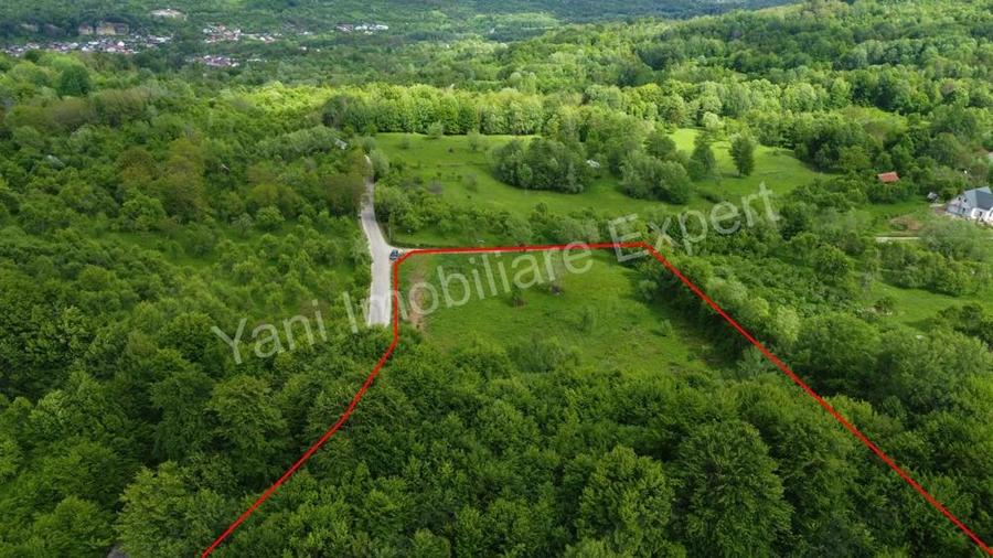 Teren de vanzare in comuna Corbi, jude? Arge?. - 7