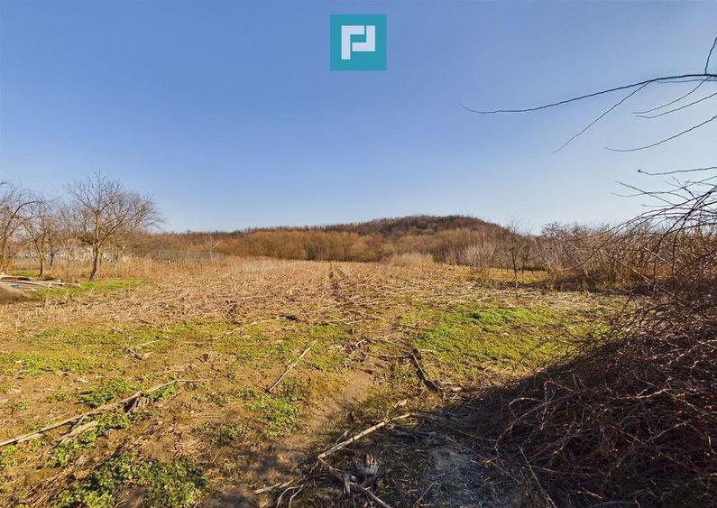 Casa rustica de vanzare in Tau? - 2