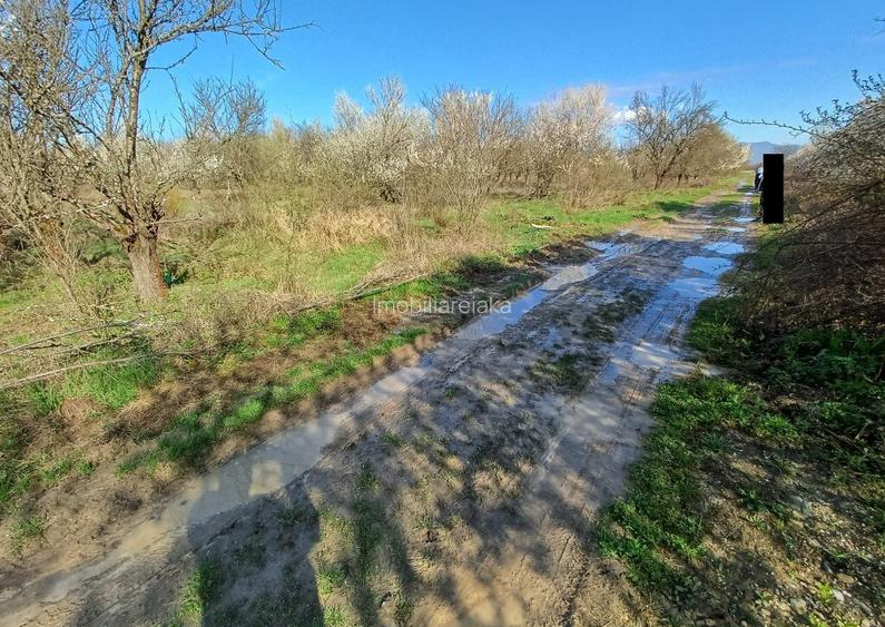Lapusel, 60ari livada Lapusel, 60ari livada