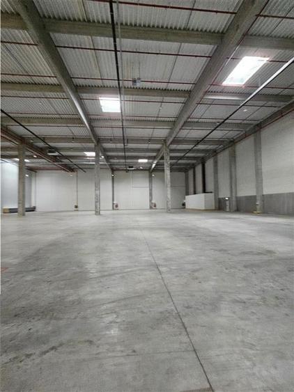 Spatiu Industrial - 6000 mp - Logistica - Productie - Depozitare - Distributie - 1