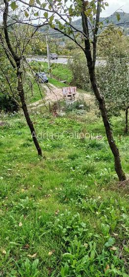 Casa de vanzare - teren 2357 mp in comuna Pietrari