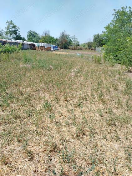 Casa de vanzare in sat LANURILE - 9