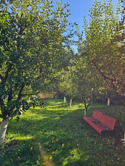 Casa cu etaj intr-un colt de natura la 5 KM de Piatra Neamt (P+1 4 camere) - 5