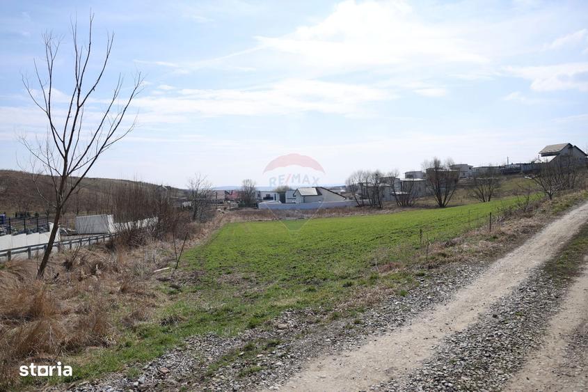 Teren 3,500mp Moara / Strada Pprincipala - 10
