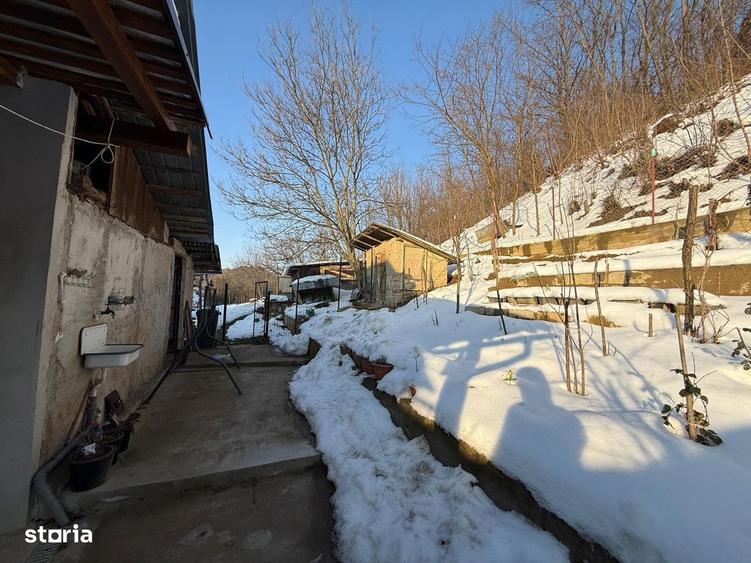 Vand Casa in Tarnava strada principala - 3