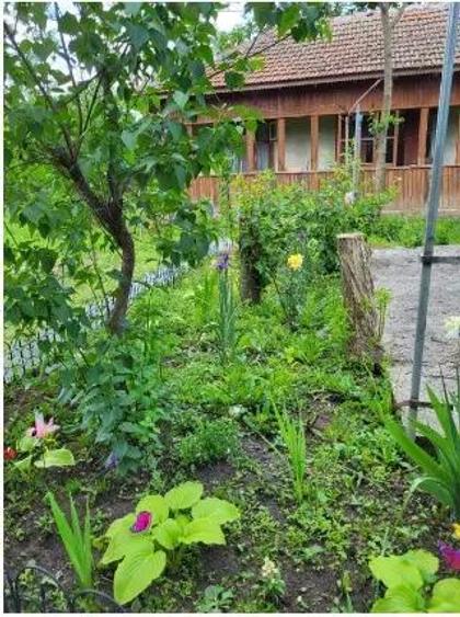 Teren cu doua corpuri casa - 35500 eur - 5