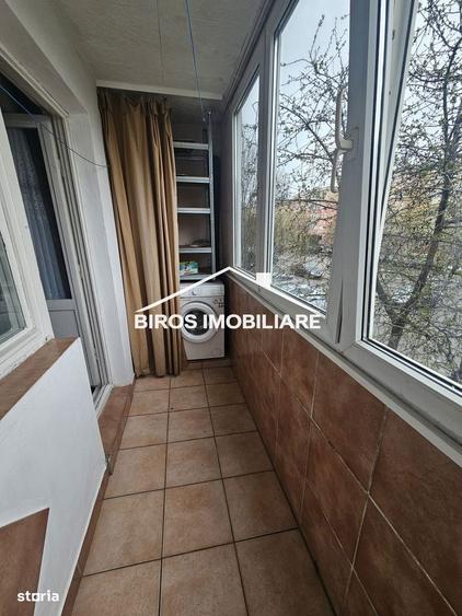 2 camere Profi - Valea Rosie - 7