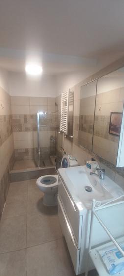 Apartament 2 camere Calea Calarasilor cu gradina A3 - 16