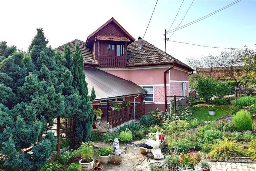 Casa cu Gradina, Parc si Priveliste in Brad, Jd. Hd - 1