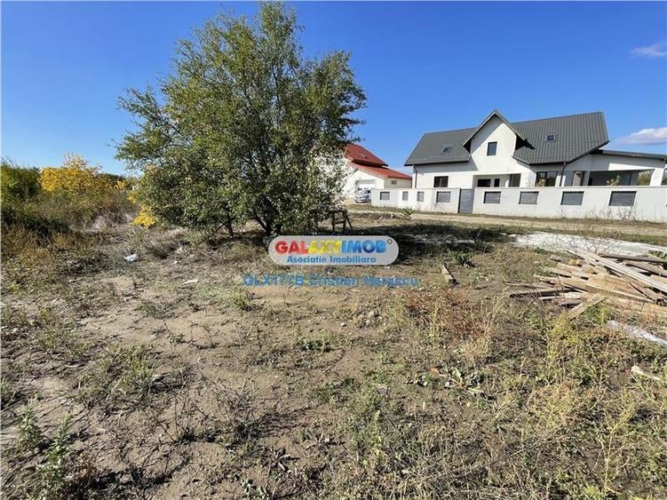 Gulia Tartasesti Str Samurcasi 482 mp deschidere 25 ml - 5