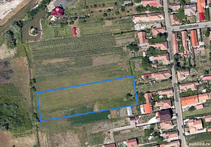 Teren 4550mp intravilan Albesti - 1