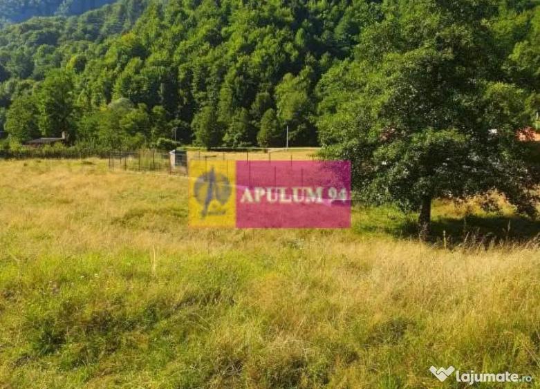 Teren Jude?ul Valcea - Brezoi, Valea lui Stan - 1