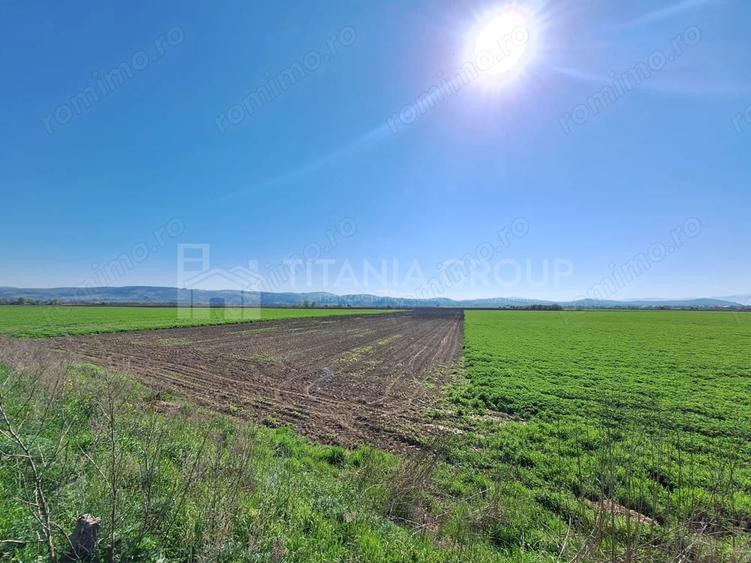Teren de 8700 mp - extravilan - Bod, Brasov - 2