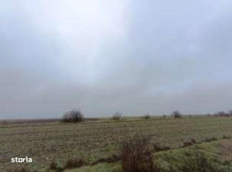 Teren extravilan cota parte 1/5 Murfatlar, ID: R2982571 - 6