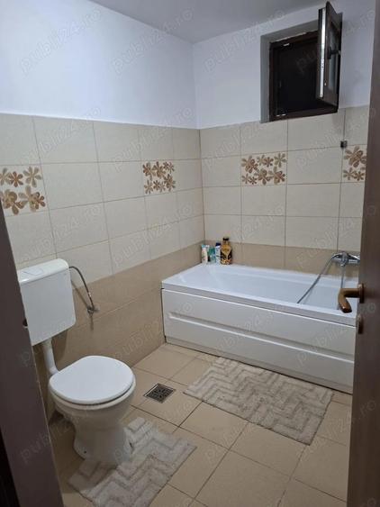 Casa de inchiriat Domnesti - 2