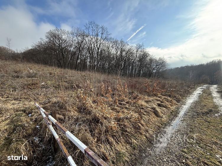 De vanzare doua parcele de 3752 mp impreuna- zona Faget - 2