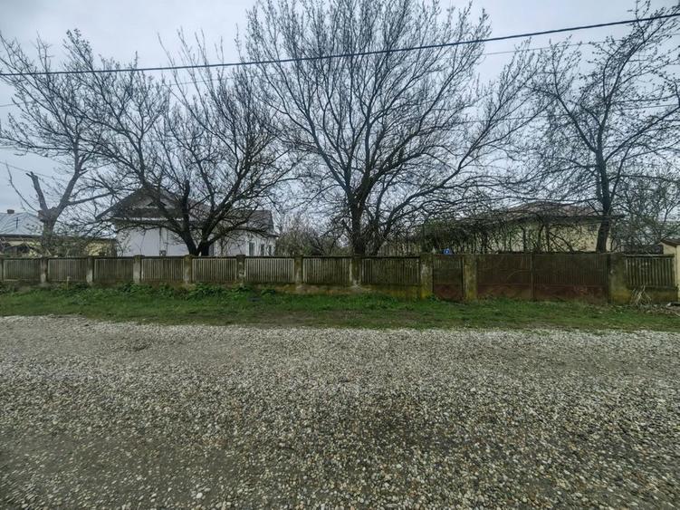 Teren de vanzare - 3