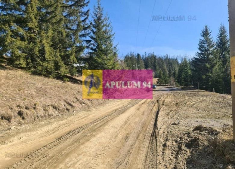 Teren de v&acirc;nzare &icirc;n Predeal - Zona Forban - 7