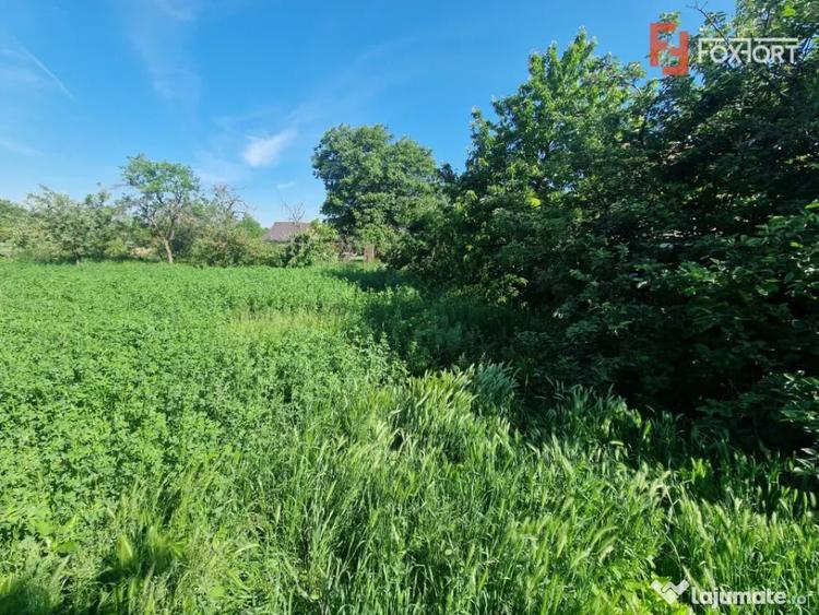 Casa individuala cu 3 camere si teren de 647 mp in Mosnita V - Mosnita Veche (Timis) - 8