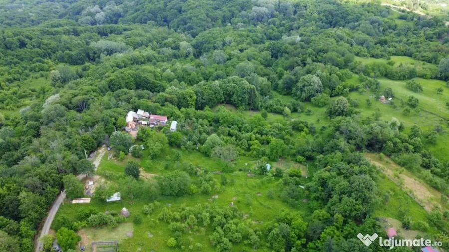 DEALUL MALULUI TEREN 1500 MP INCONJURAT DE PADURE - Ramnicu Valcea (Valcea) - 11