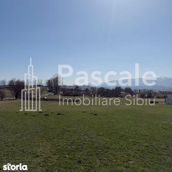 Teren de 2000 mp, în Roșia