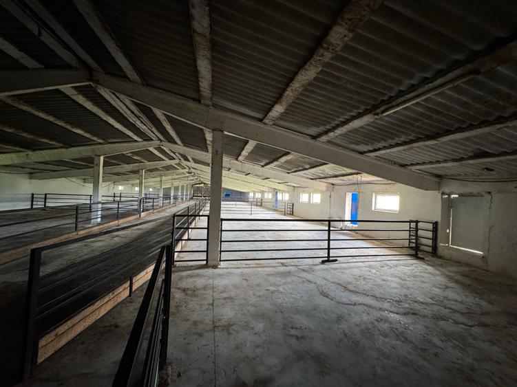 Proprietate specială, de 4,850 mp, în Vitănești