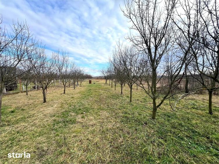 Casă cu 3 camere cu Teren 1850 Mp în Odoreu