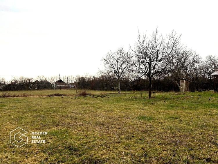 Teren Construcții intravilan de 2880 mp, în Șiria
