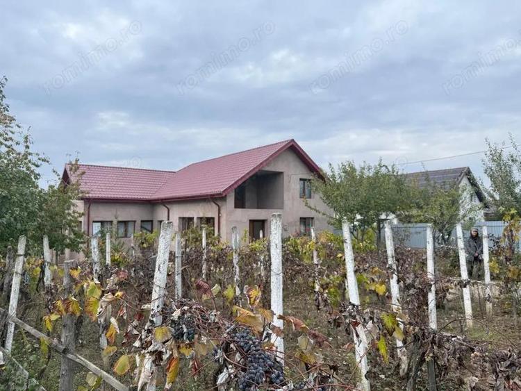 Casă cu Teren 3000 Mp în Central