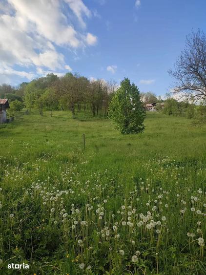 Teren de 1400 mp, în Vișinești