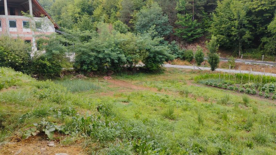 Casă cu 3 camere în Mănăstire