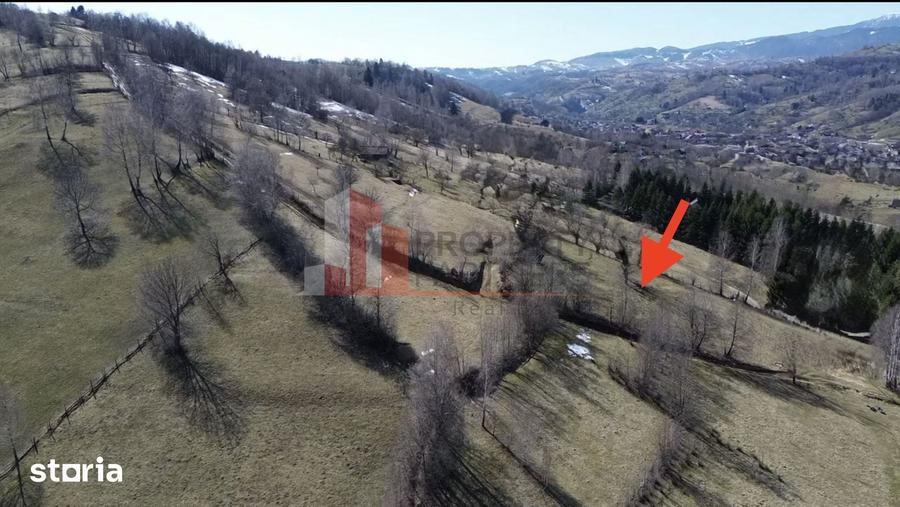 Teren de 3520 mp, în Moieciu