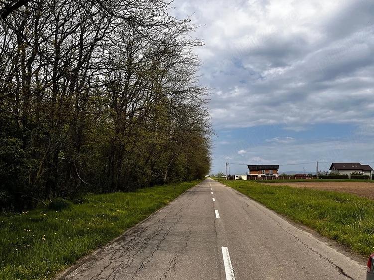 Teren de 1700 mp, în Berceni