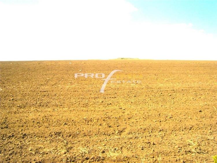 Teren 2000mp.situat la cc.800 m. de Plaja Corbu - 7