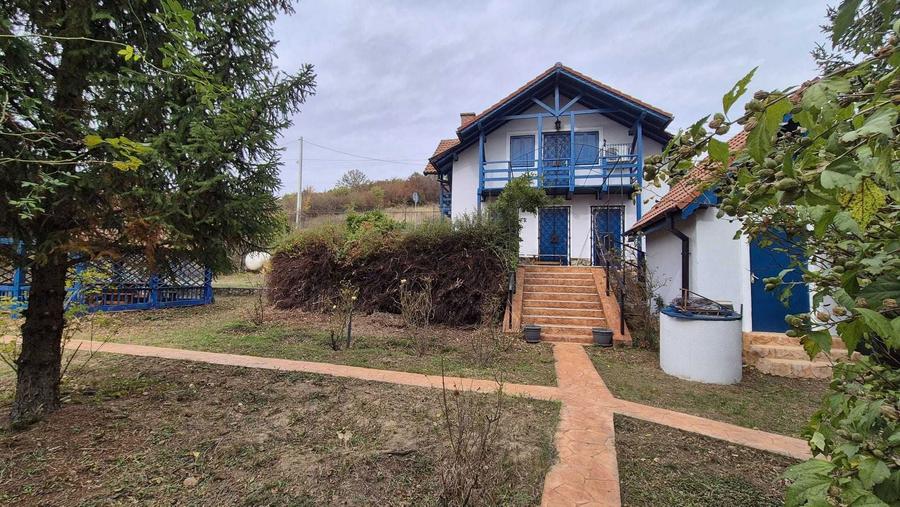 Casa de vacanta Clisura Dunarii - Eselnita, iesire la Dunare si ponton - 8