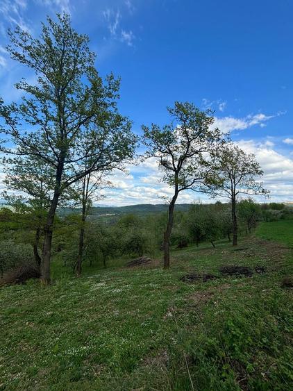 Teren intravilan - 5