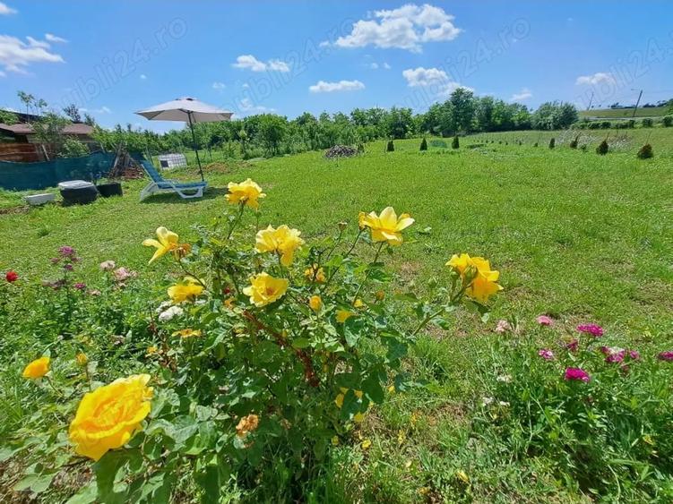 Casa cu teren 2700 mp la 22 km de Oradea - 3