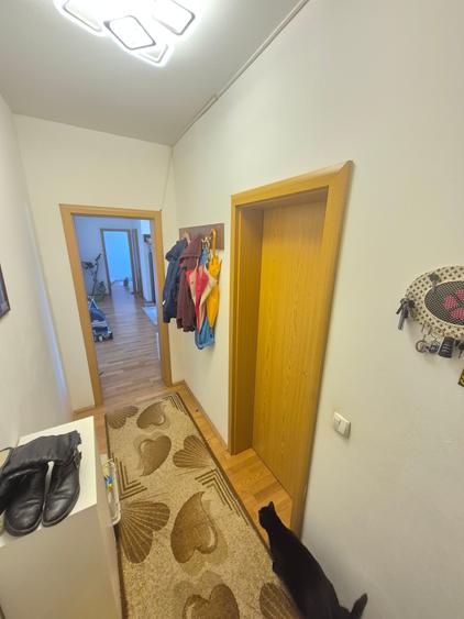 2 Cam-Sagului-7 Min de Centru--Mobilat-Utilat-Balcon-Centrala--63MP- 64.000Euro! - 14