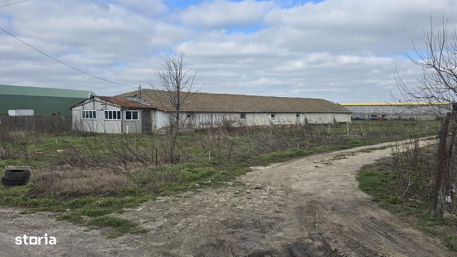 Topraisar langa Biosera Sofra teren 4649 mp cu hala 347 mp - 3