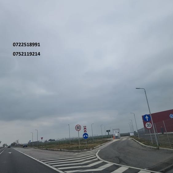 Teren cu potential, 90000 mp, DN2, Afumati, Sindrilita, 18 e/mp - 3