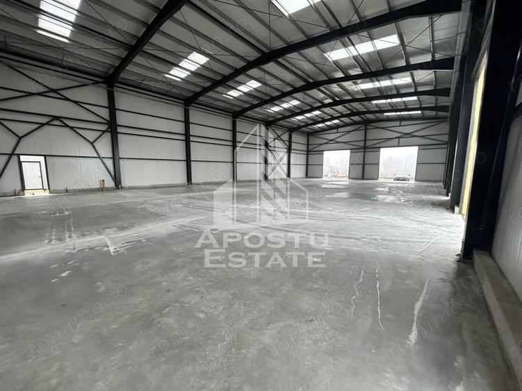 Hala cu Showroom, Strada Aeroport, aproape de VGP. - 6