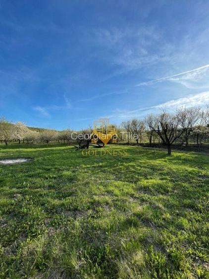 Teren agricol intravilan de 5500 mp, în Sopor Teren agricol intravilan de 5500 mp, în Sopor