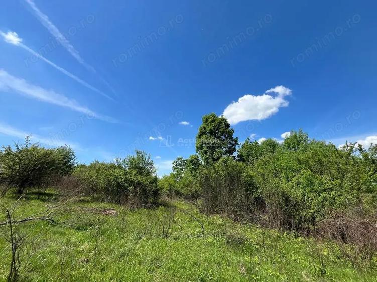 Lugoj Teren 5.300 Mp., Dealul Viilor, Priveliste Impresionanta - 10